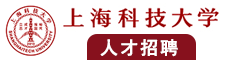 大鸡巴入小穴网战