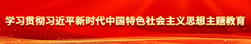 日比片学习贯彻习近平新时代中国特色社会主义思想主题教育